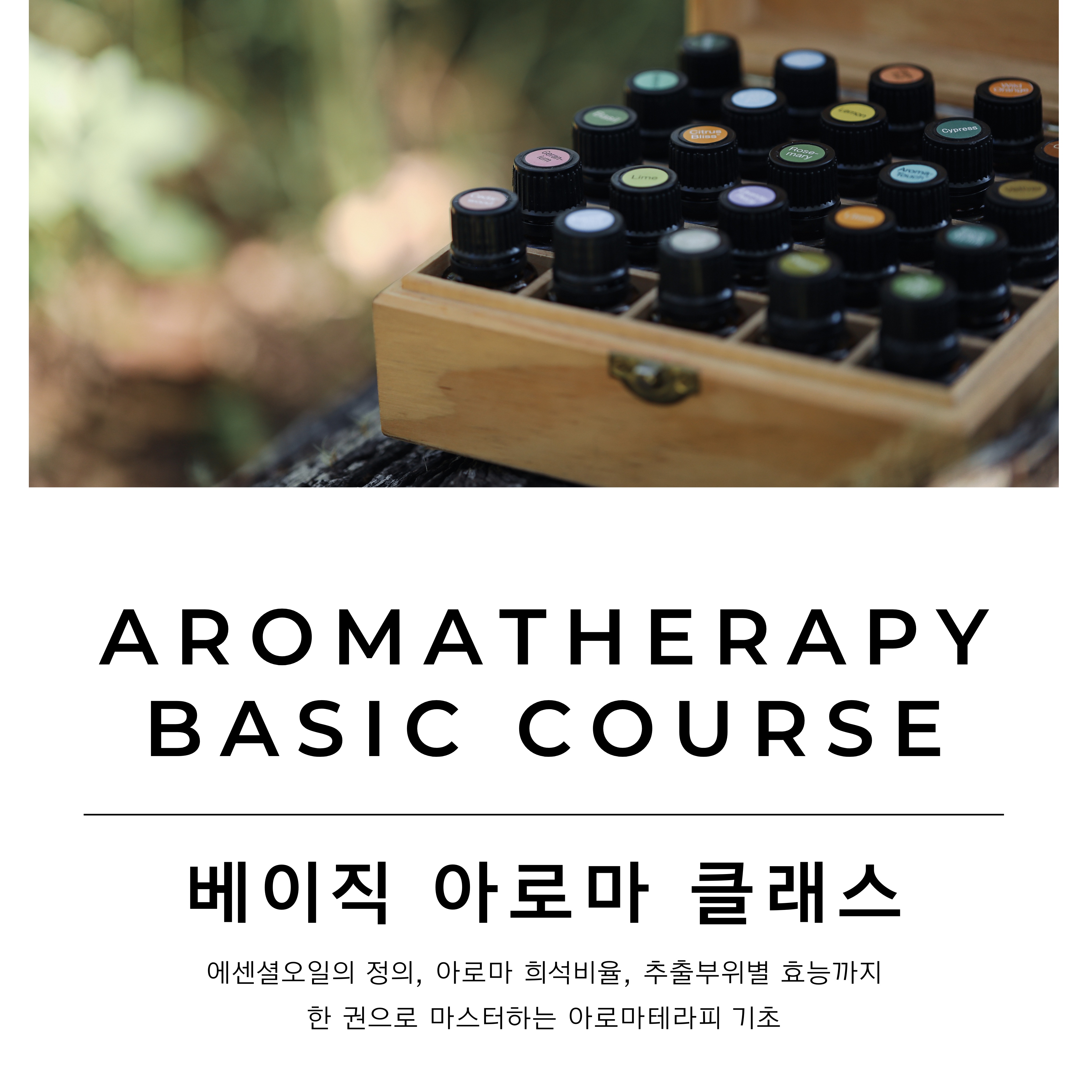 [베이직] 천연아로마전문가0