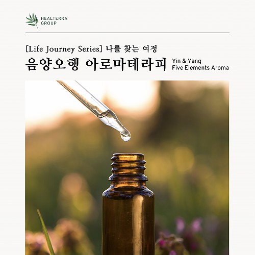 음양오행아로마전문가
