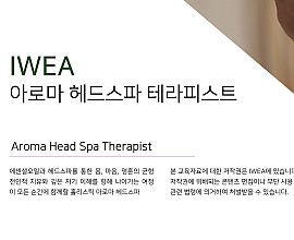 아로마헤드스파마스터